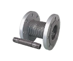 Компенсатор GA1548 DN50,   2" 0080075000