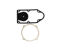 Ремкомплект насоса Piusi KIT GASKETS PUMP HFC 300