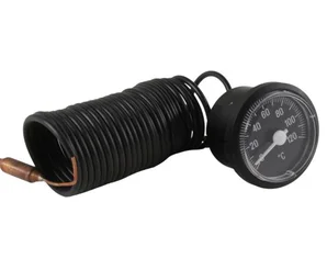 Термометр Riello 4R103822