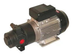 Насос для масла электрический Flexbimec 6145