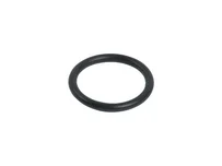 Уплотнительное кольцо Viessmann 20.63 x 2.62, 7815765