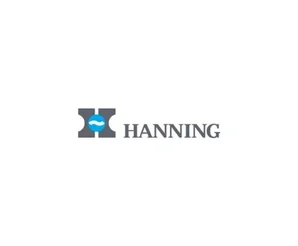 Электродвигатель Hanning OE7D2B-008 450 Вт