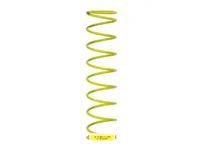 Пружина Weishaupt DN 50 / Rp 2", 490131